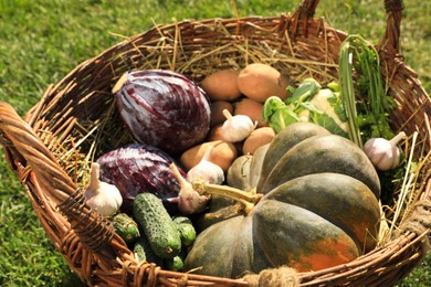 Photo of Different fresh ripe vegetables in wicker basket on grass, closeup