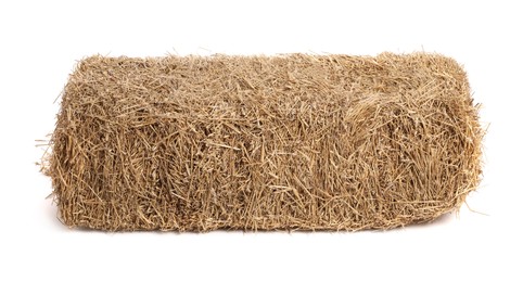 Bale of dried straw isolated on white