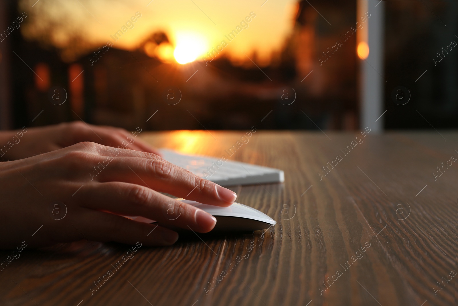 Photo of Woman using computer mouse and keyboard at table, closeup. Space for text