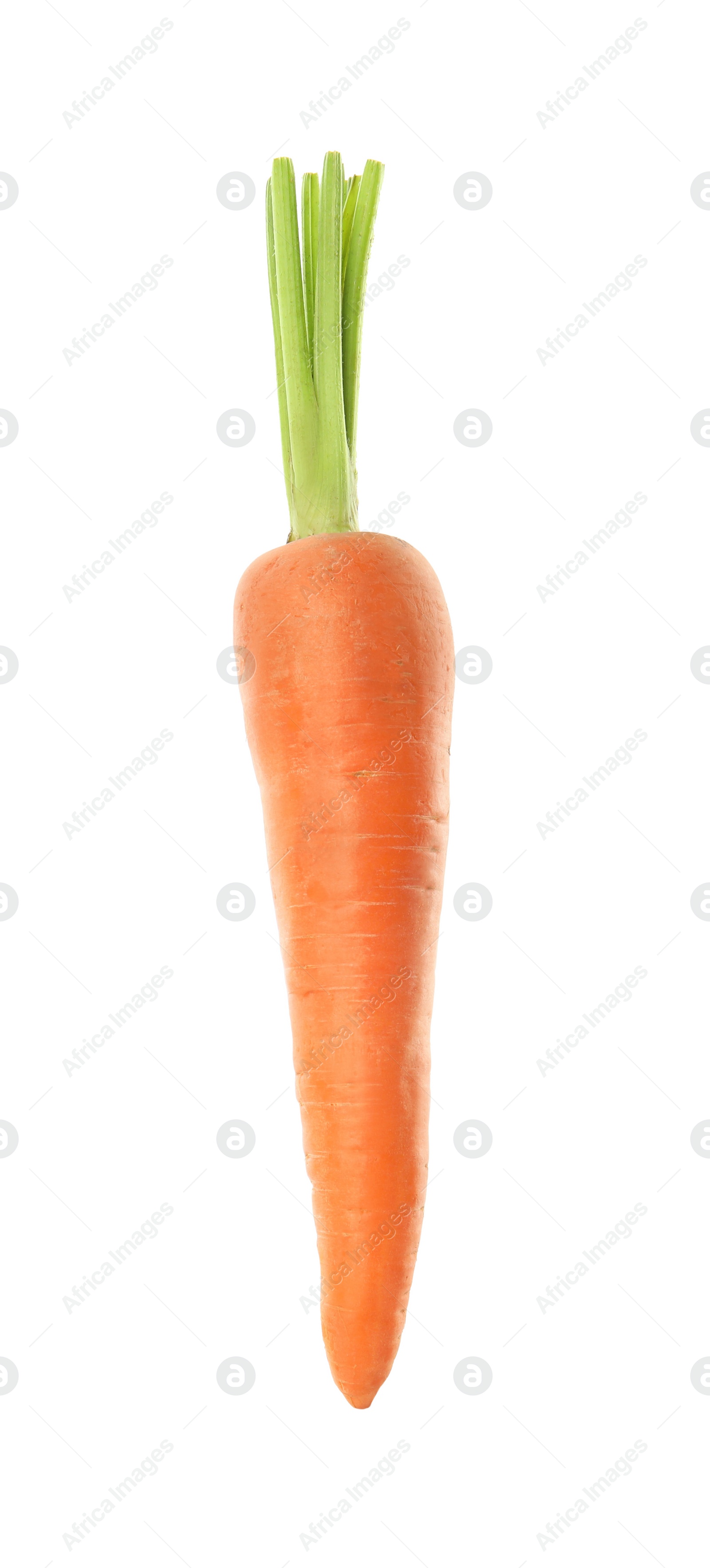 Photo of Fresh ripe juicy carrot isolated on white