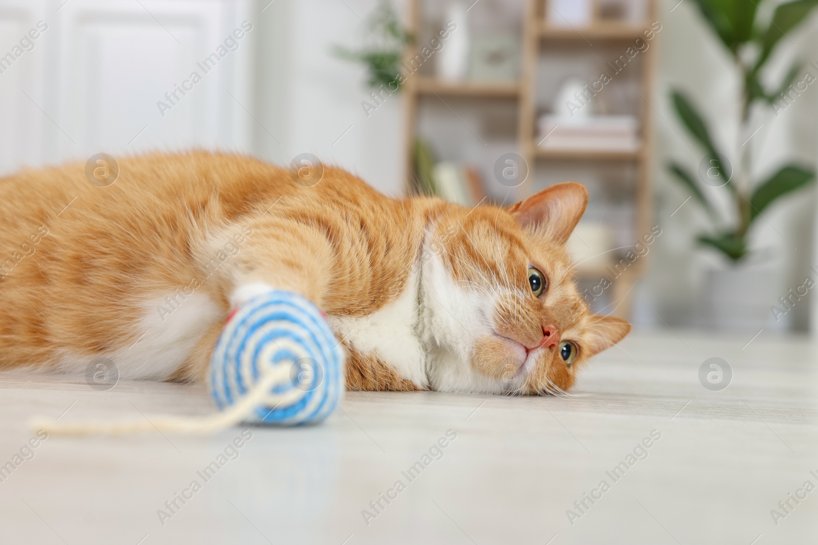 Photo of Cute ginger cat playing with sisal toy mouse at home