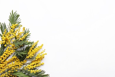 Beautiful mimosa flowers on white background, top view