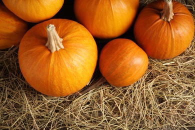 Photo of Ripe pumpkins on hay, top view. Holiday decoration