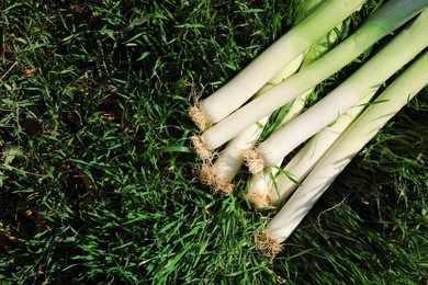 Photo of Fresh raw leeks on green grass outdoors, above view. Space or text