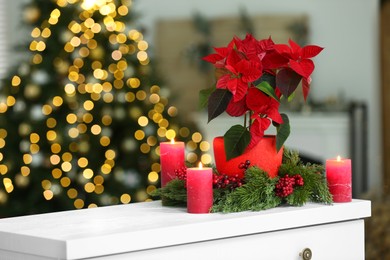 Photo of Potted poinsettia, burning candles and festive decor on white dresser in room, space for text. Christmas traditional flower