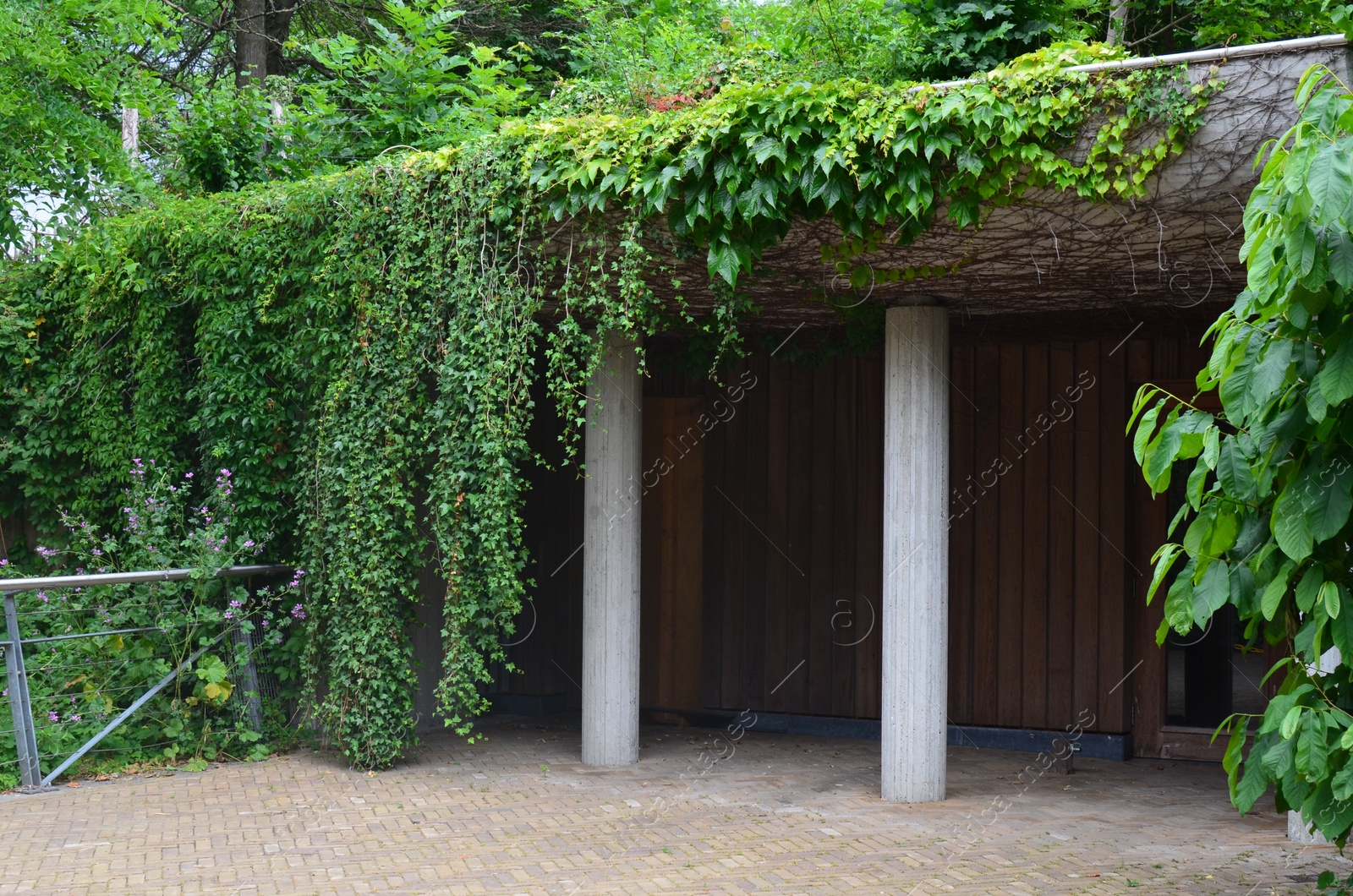 Photo of Beautiful entrance of building covered with lush plants