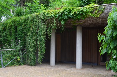 Photo of Beautiful entrance of building covered with lush plants