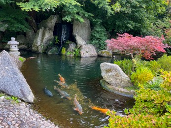 Photo of Beautiful different fishes swimming in zoological park