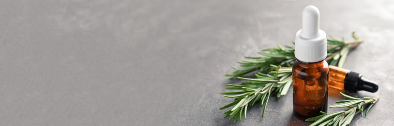 Image of Bottles with rosemary essential oil on grey background, space for text. Banner design