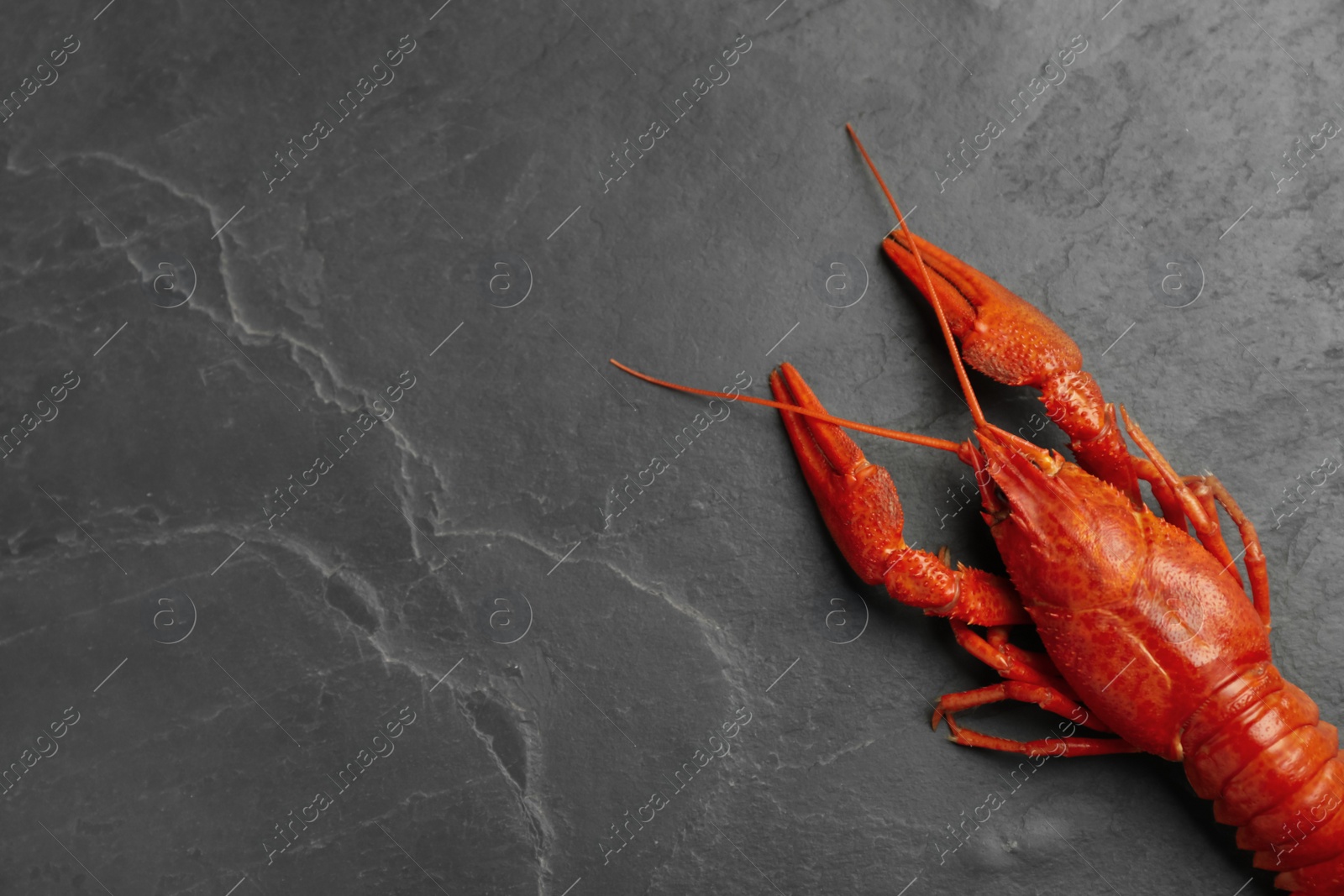 Photo of Delicious boiled crayfish on black table, top view. Space for text