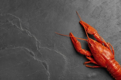 Photo of Delicious boiled crayfish on black table, top view. Space for text