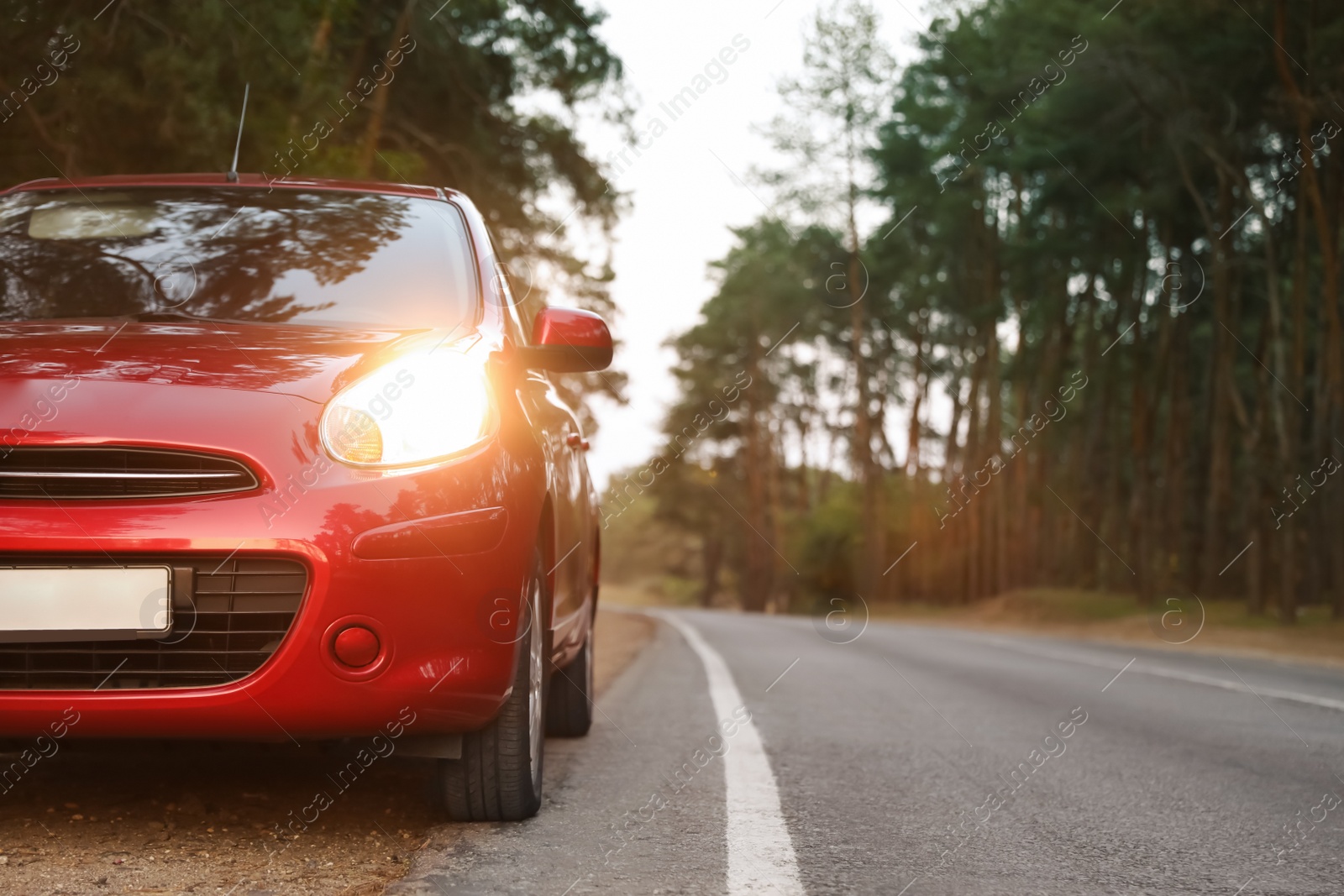 Photo of Red car parked near forest. Road trip