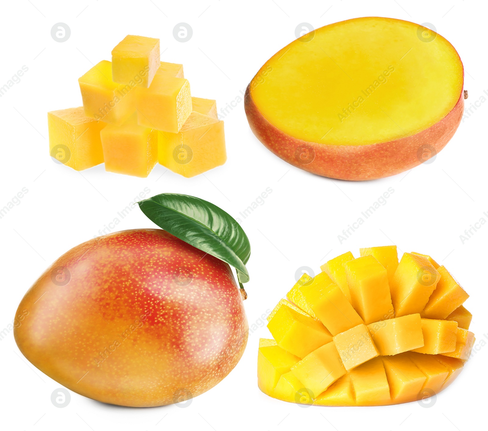 Image of Set with delicious ripe mangos on white background