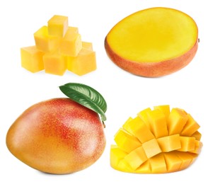 Image of Set with delicious ripe mangos on white background