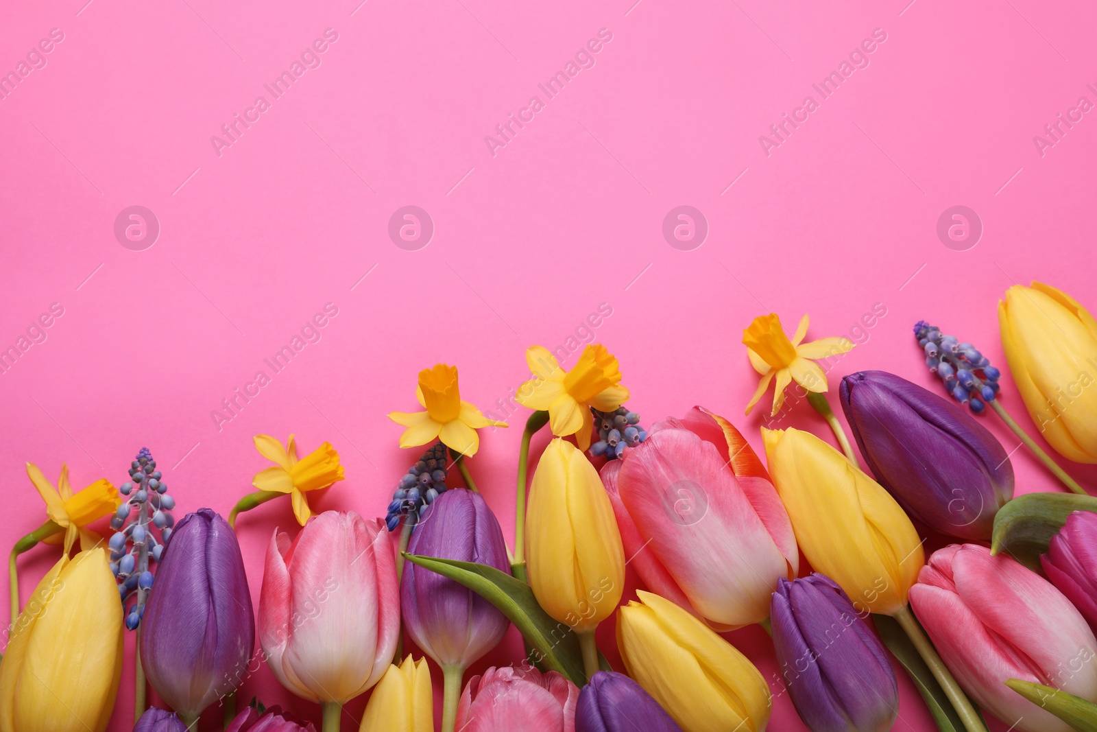 Photo of Beautiful different flowers on pink background, flat lay. Space for text