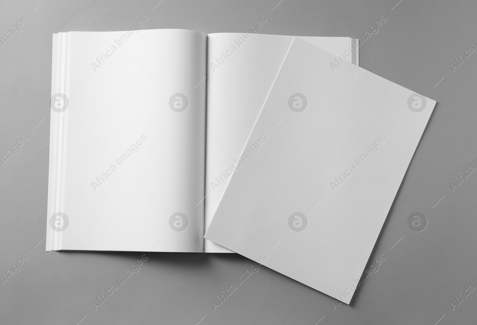 Photo of Paper sheet and open blank brochure on light grey background, flat lay