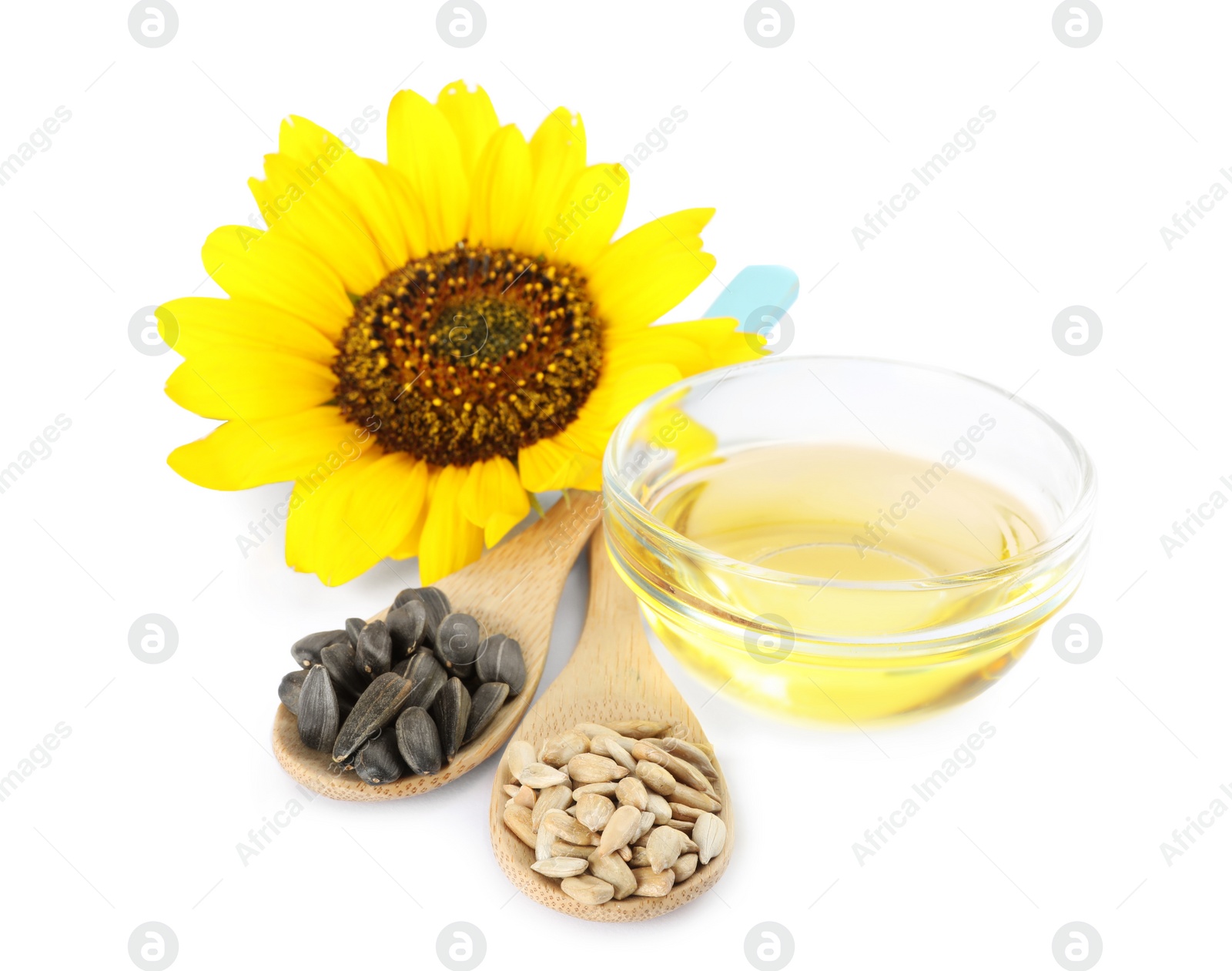 Photo of Sunflower, oil in glass bowl and seeds on white background