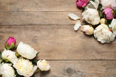 Photo of Beautiful peonies on wooden background, flat lay. Space for text