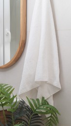 Photo of Hanging towel and houseplant in bathroom. Interior design