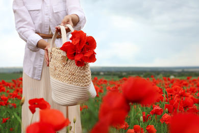 Photo of Woman holding handbag with poppy flowers in beautiful field, closeup