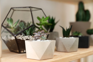 Photo of Different home plants on wooden shelf, space for text. Interior design element