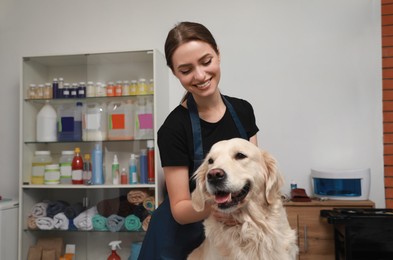 Professional groomer with cute dog in pet beauty salon