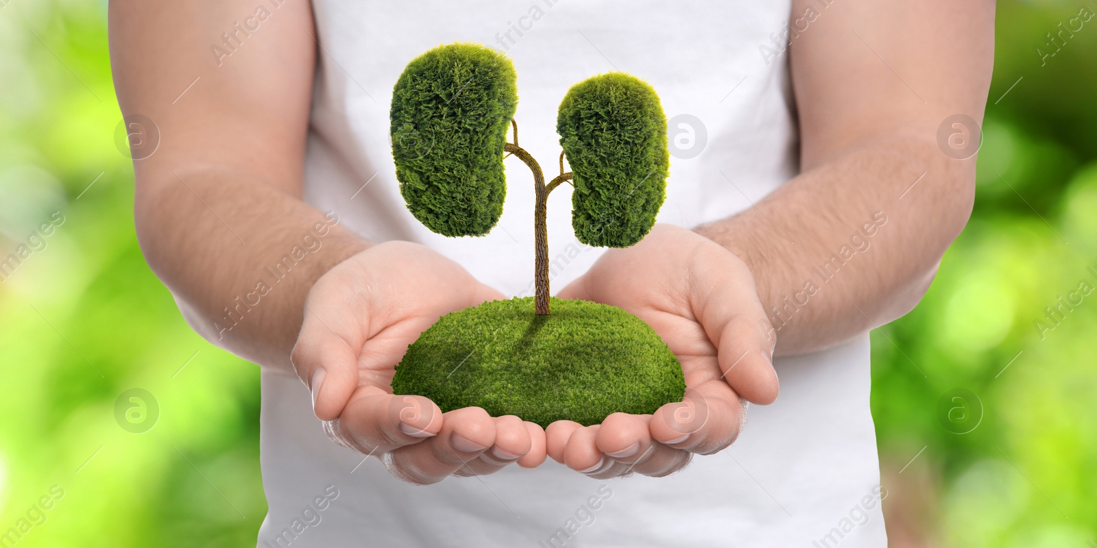 Image of Closeup view of man with tree in shape of human kidneys against blurred background. Health care concept