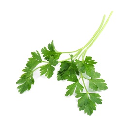 Leaves of fresh tasty parsley on white background