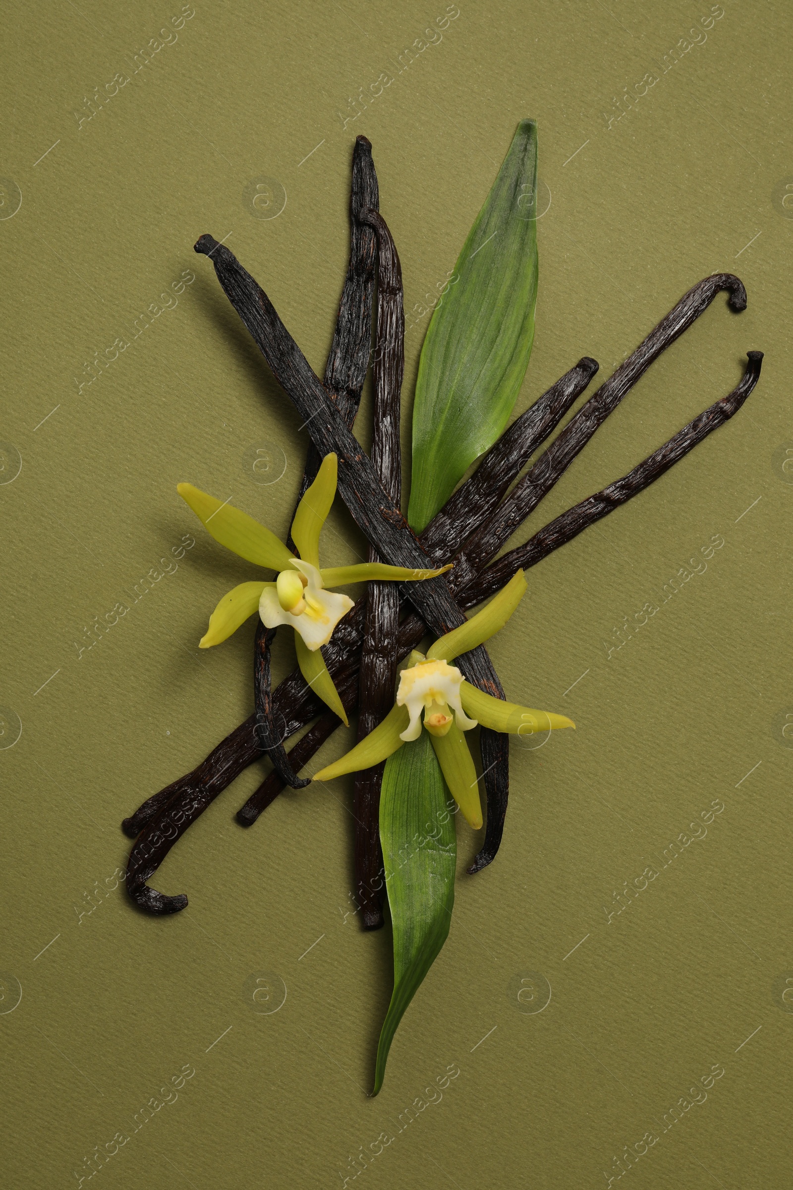 Photo of Vanilla pods, beautiful flowers and green leaves on olive color background, top view