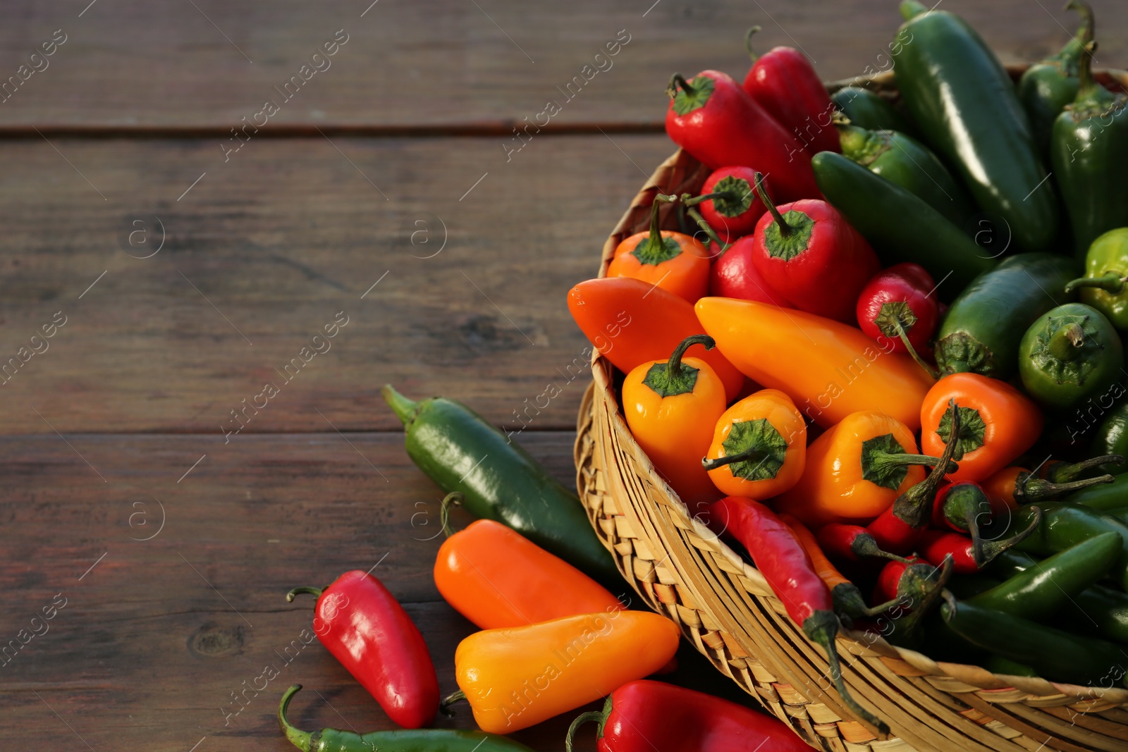 Photo of Many different fresh chilli peppers on wooden table, space for text