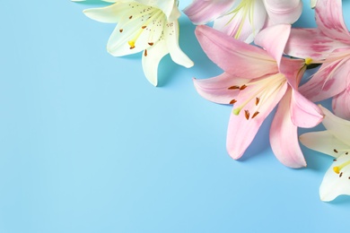 Photo of Composition with beautiful blooming lily flowers on color background