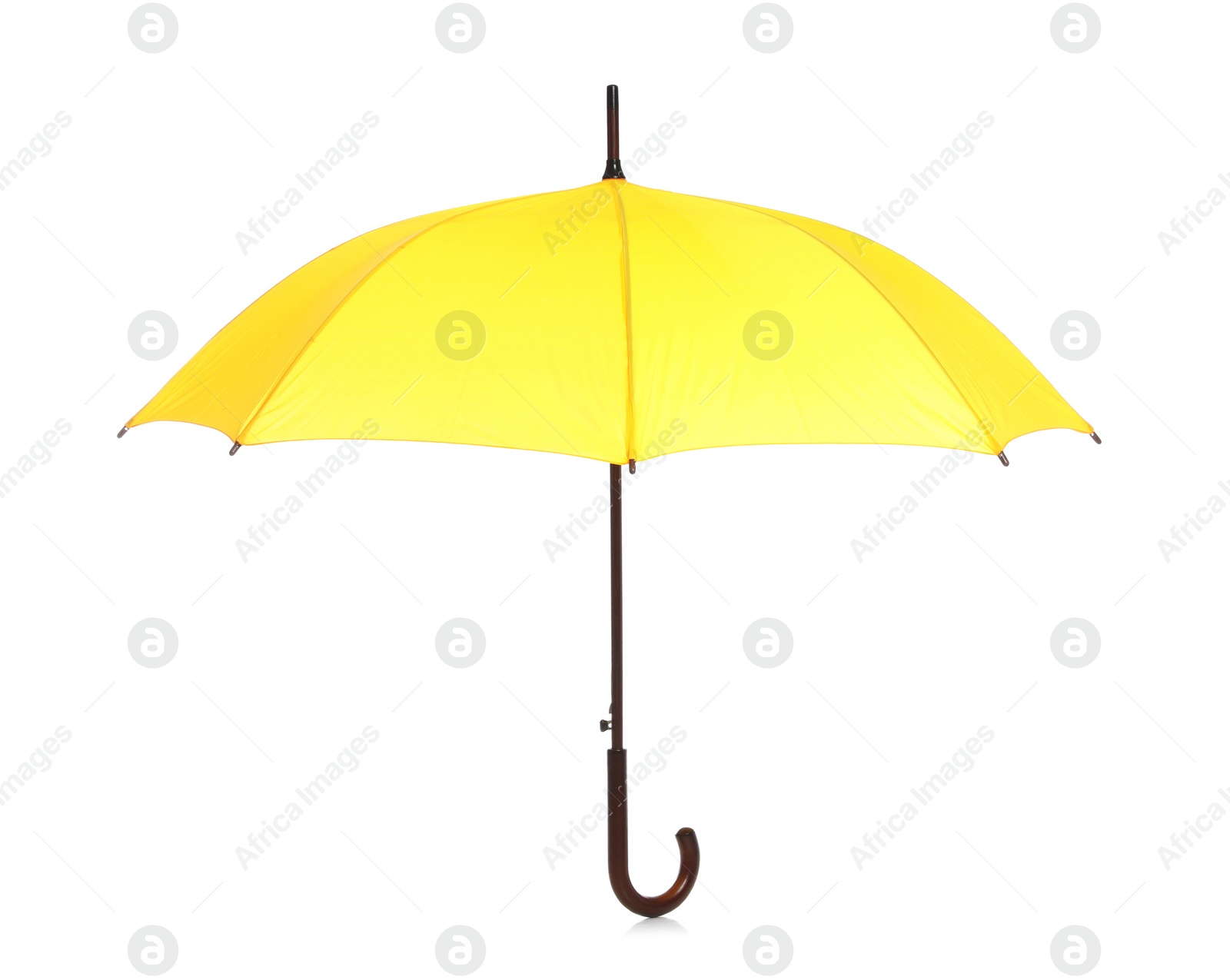 Photo of Beautiful open umbrella on white background