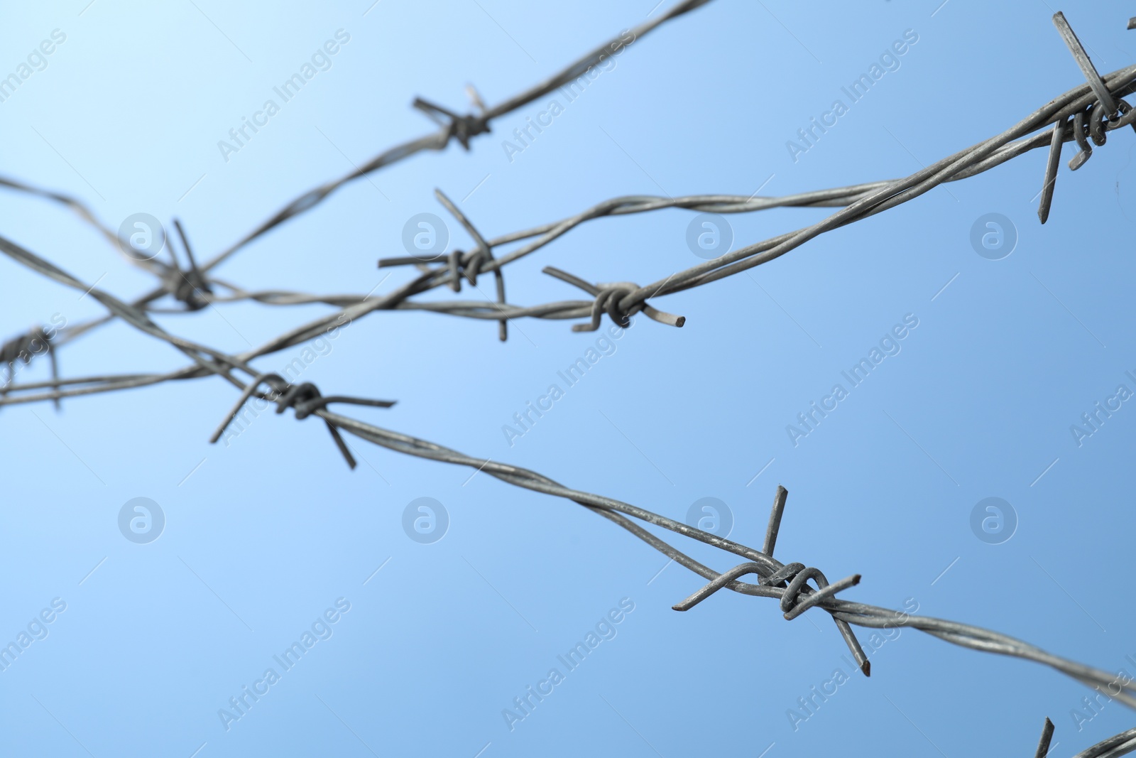 Photo of Metal barbed wire on light blue background