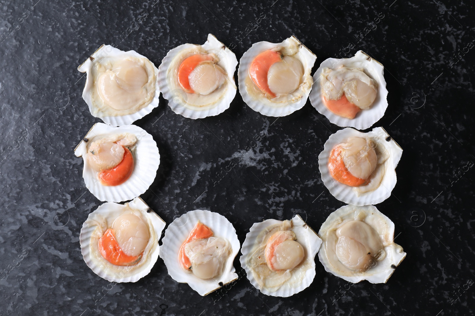 Photo of Frame made of fresh raw scallops with shells on black textured table, flat lay. Space for text