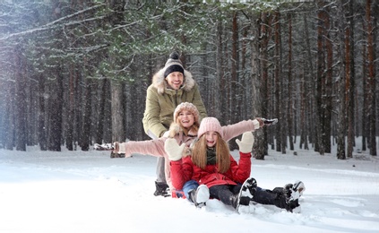 Happy family sledding in forest on snow day