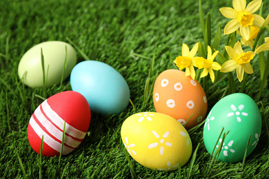 Colorful Easter eggs and narcissus flowers in green grass