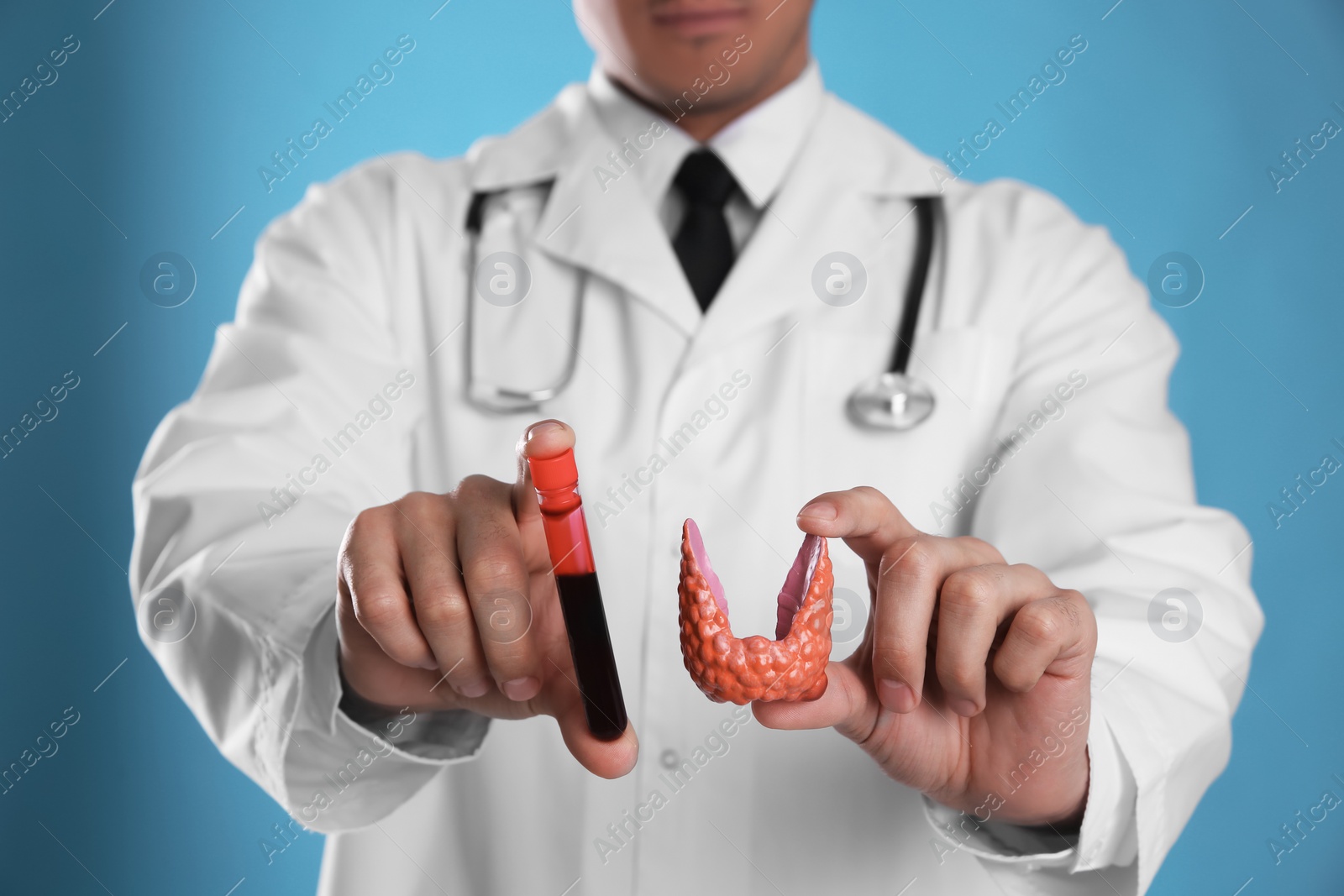 Photo of Doctor holding plastic model of thyroid and blood sample on light blue background, closeup