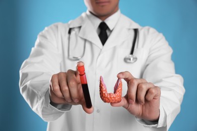 Doctor holding plastic model of thyroid and blood sample on light blue background, closeup