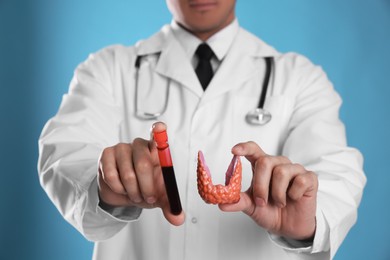 Photo of Doctor holding plastic model of thyroid and blood sample on light blue background, closeup