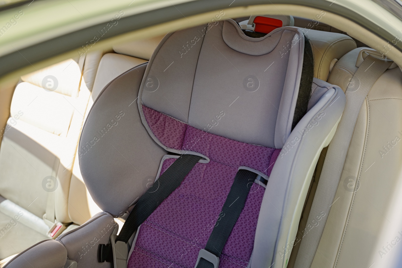 Photo of Empty modern child safety seat inside car