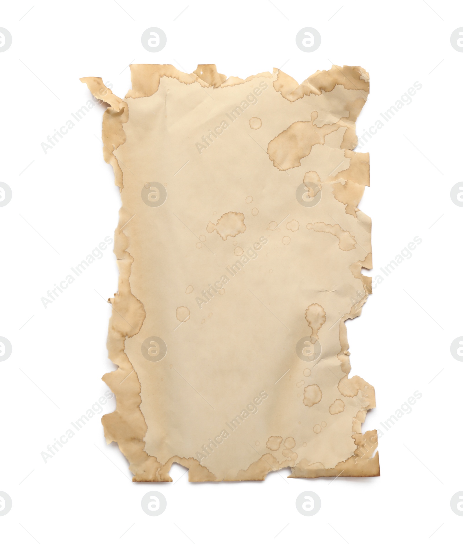 Photo of Sheet of old parchment paper isolated on white, top view. Space for design