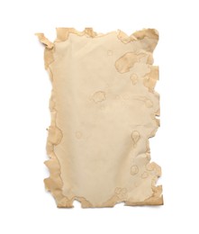 Photo of Sheet of old parchment paper isolated on white, top view. Space for design