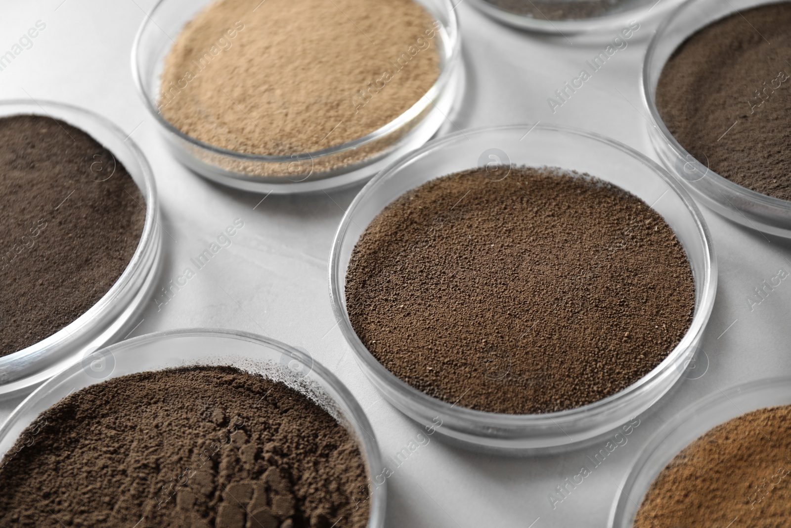 Photo of Petri dishes with soil samples on grey table. Laboratory research