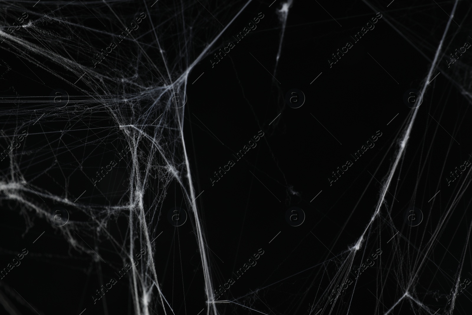 Photo of Creepy white cobweb on black background, closeup