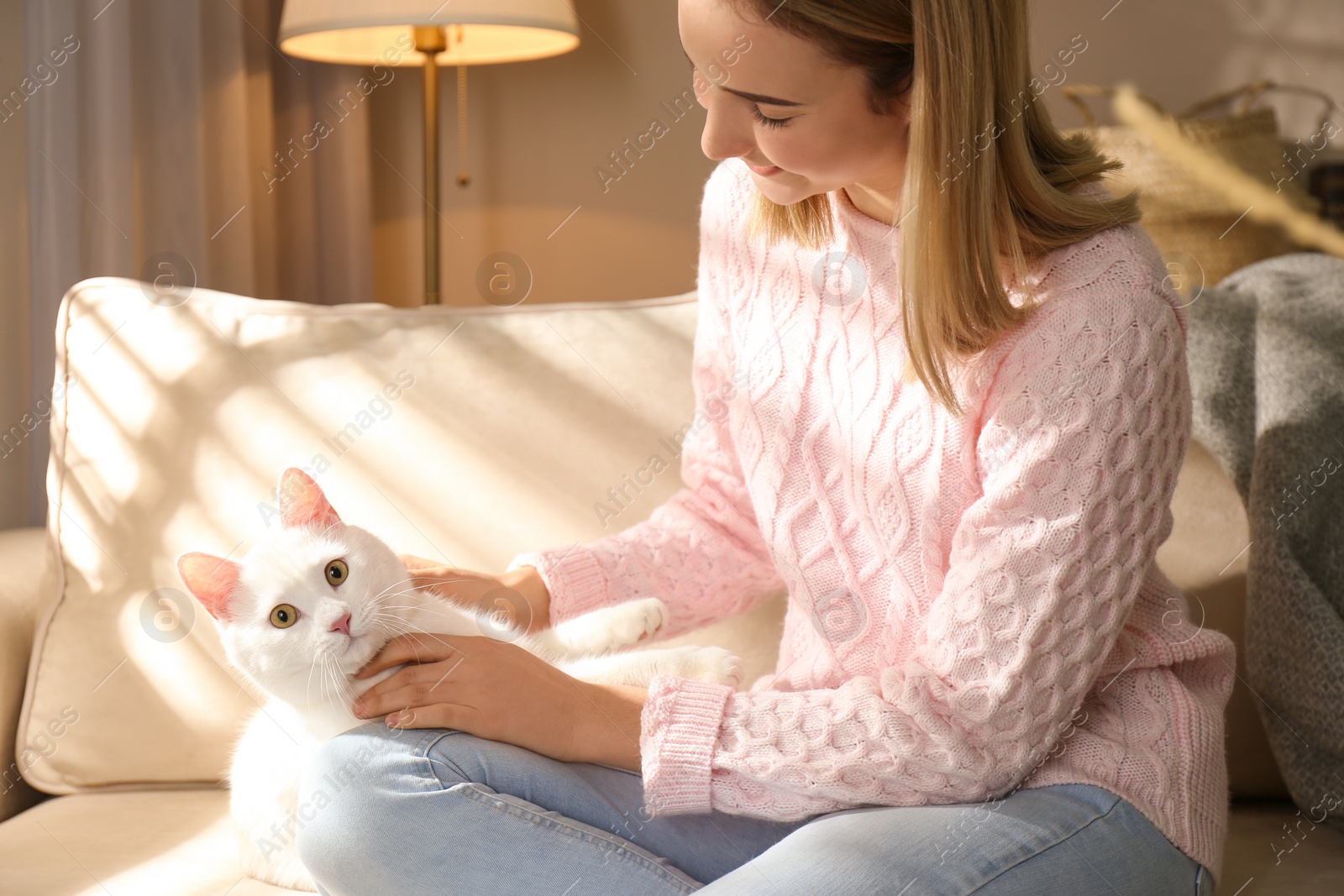 Photo of Young woman with her beautiful white cat at home, closeup. Fluffy pet