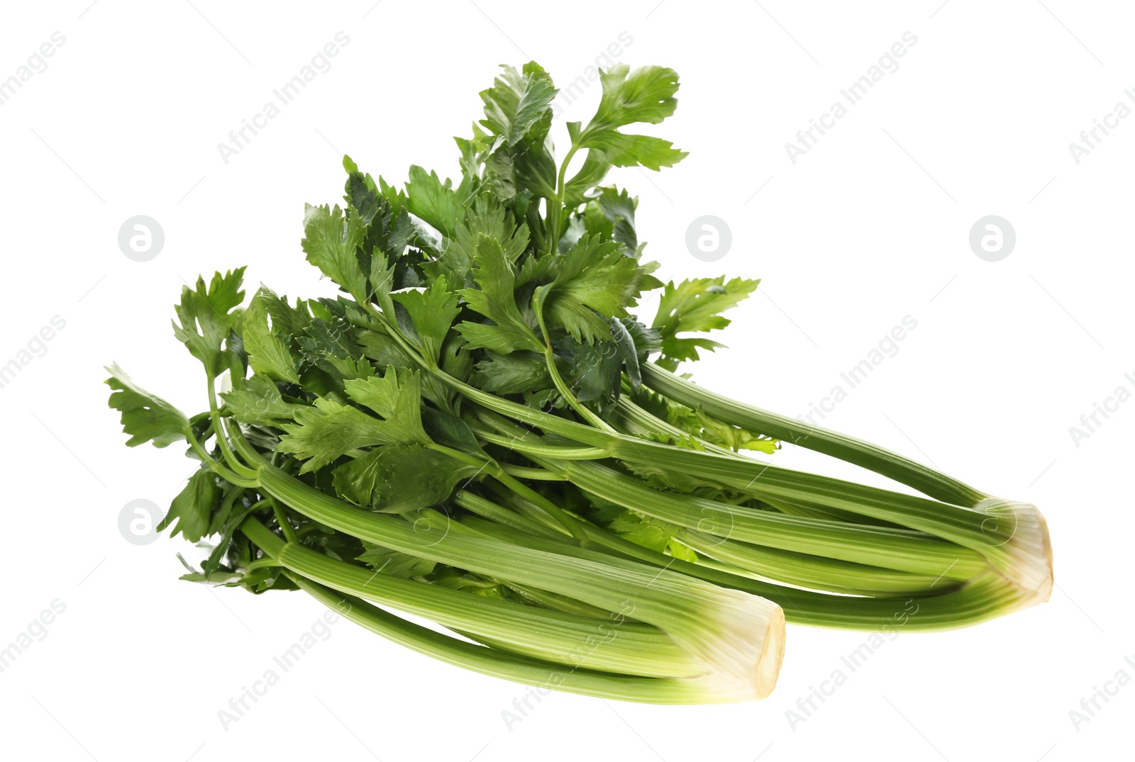 Photo of Fresh green celery bunches isolated on white