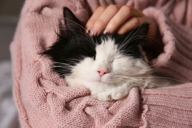 Photo of Woman stroking adorable long haired cat, closeup