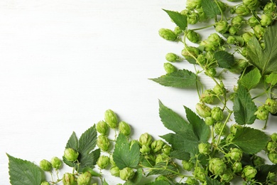 Fresh green hops on white wooden background, top view with space for text. Beer production