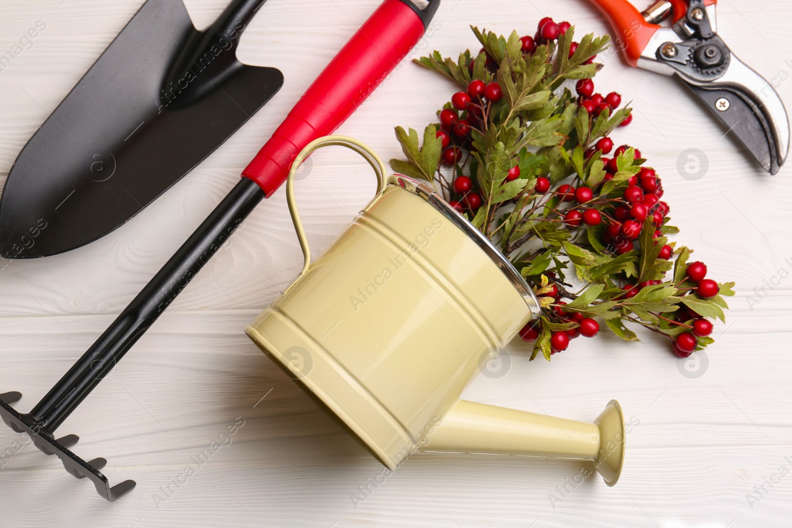 Photo of Flat lay composition with watering can and gardening tools on white wooden table