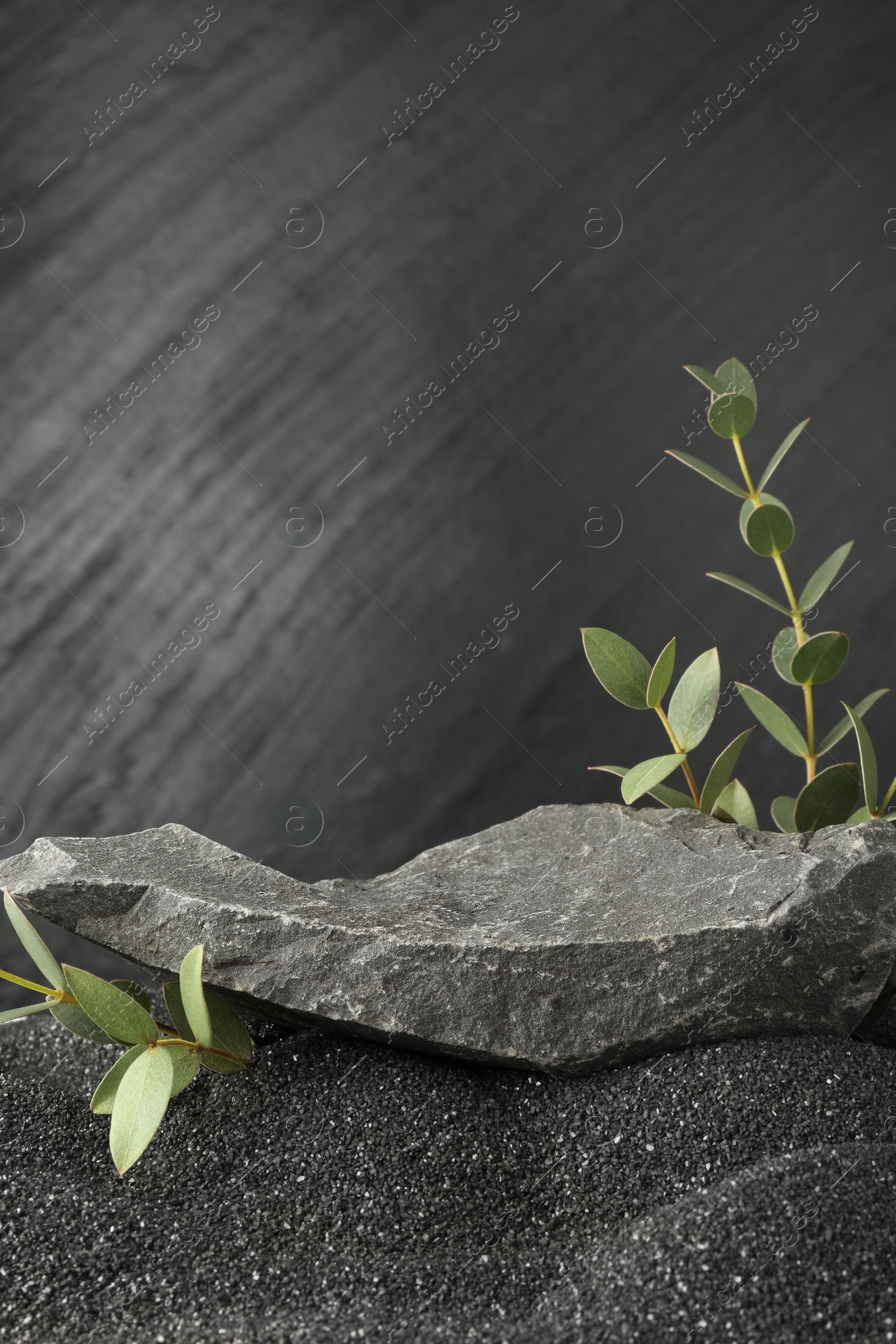 Photo of Presentation of product. Stone podium and green branches on black sand against dark textured background. Space for text